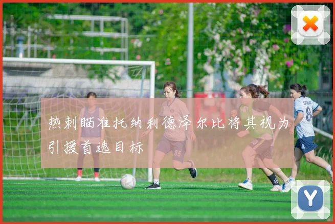 热刺瞄准托纳利德泽尔比将其视为引援首选目标